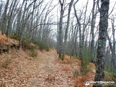 Carro del Diablo - Valle del Lozoya; serra do courel rios de madrid la tejera de lozoya